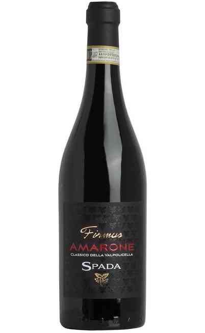 Amarone della Valpolicella "Firmus" 2019 DOCG