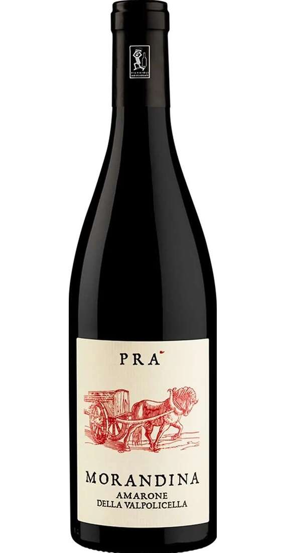 Amarone della Valpolicella MORANDINA DOCG 