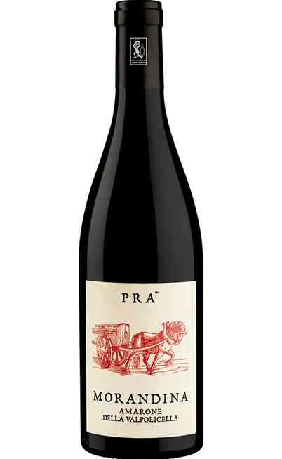 Amarone della Valpolicella MORANDINA DOCG 
