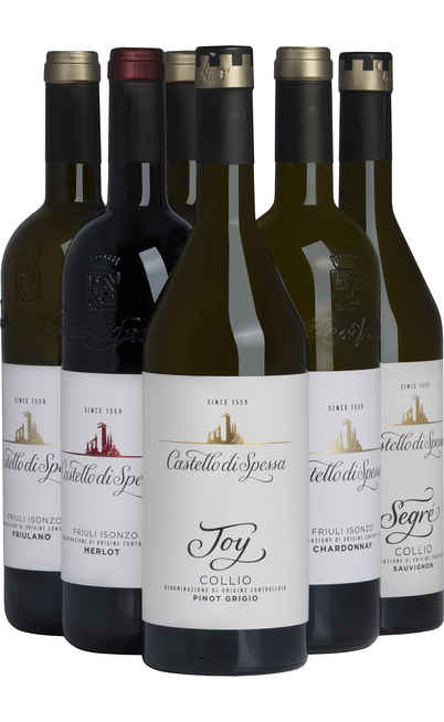 Auswahl von 6 friaulischen Weinen [Castello di Spessa]