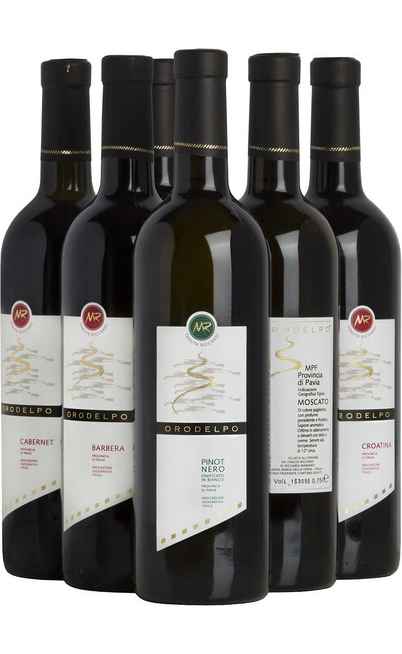Auswahl von 6 lombardischen Weinen [Tenuta Riccardi]