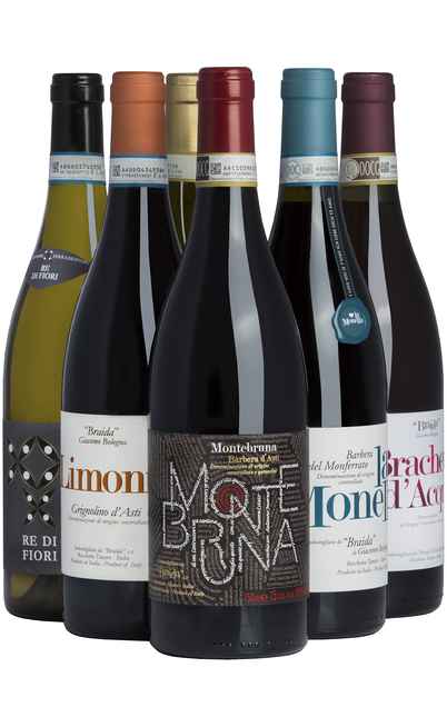 Auswahl von 6 piemontesischen Weinen [Braida]