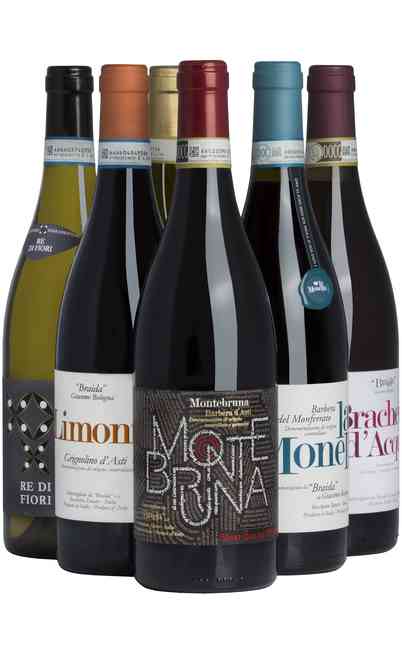 Auswahl von 6 piemontesischen Weinen