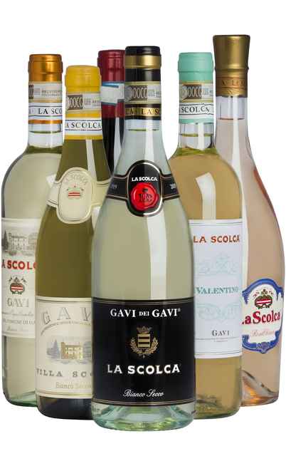 Auswahl von 6 piemontesischen Weinen [LA SCOLCA]