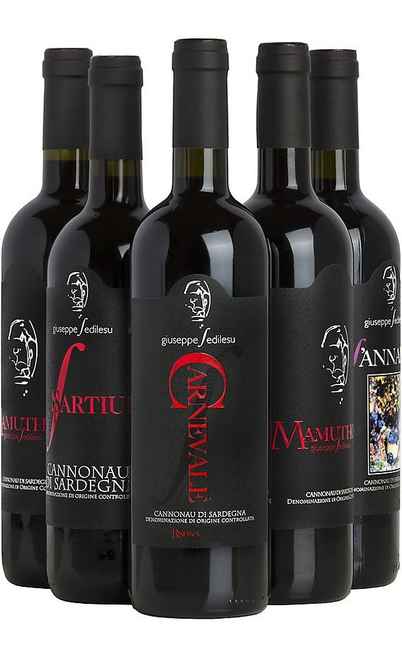 Auswahl von 6 sardischen Weinen [Giuseppe Sedilesu]