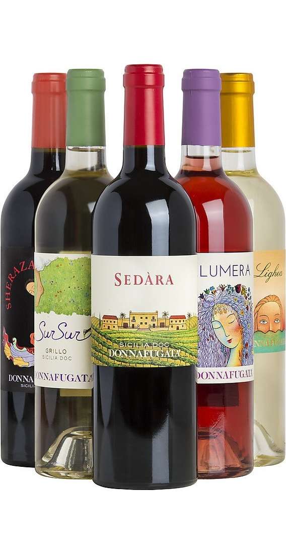 Auswahl von 6 sizilianischen Weinen