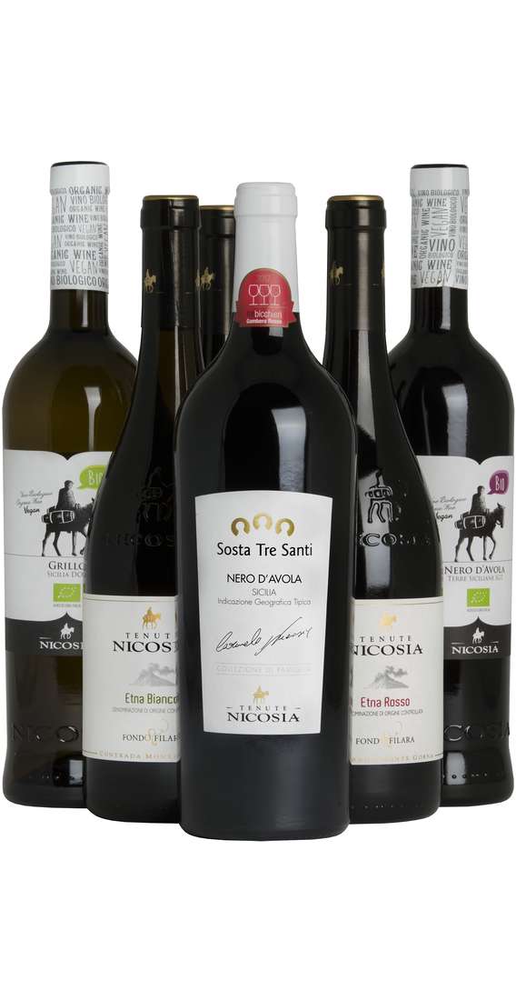 Auswahl von 6 sizilianischen Weinen