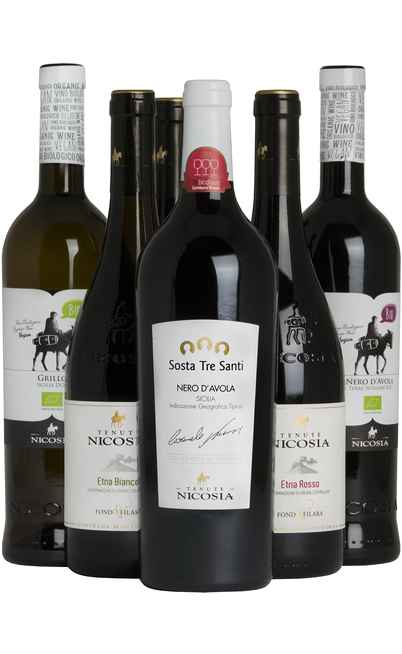 Auswahl von 6 sizilianischen Weinen [NICOSIA]