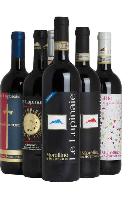 Auswahl von 6 toskanischen Weinen [Le Lupinaie]