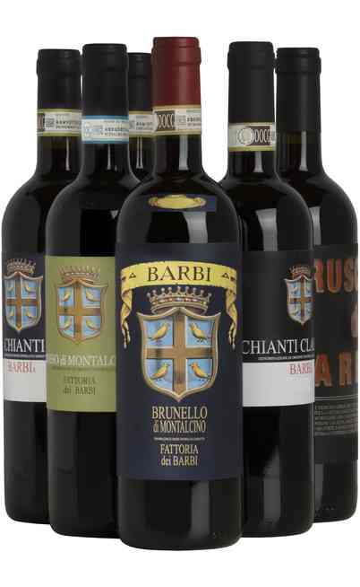 Auswahl von 6 toskanischen Weinen