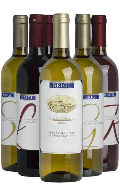 Auswahl von 6 Trentino-Weinen