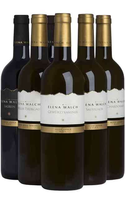 Auswahl von 6 Trentino-Weinen [Elena Walch ]