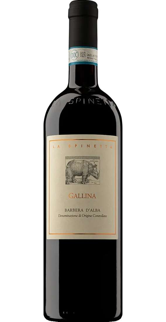 Barbera d'Alba Superiore GALLINA DOCG BIO