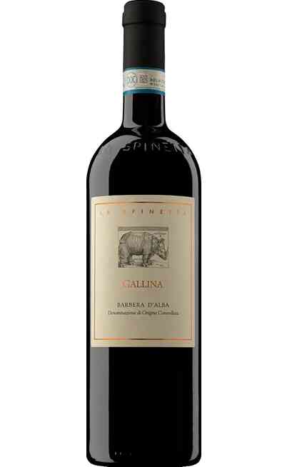 Barbera d'Alba Superiore GALLINA DOCG BIO