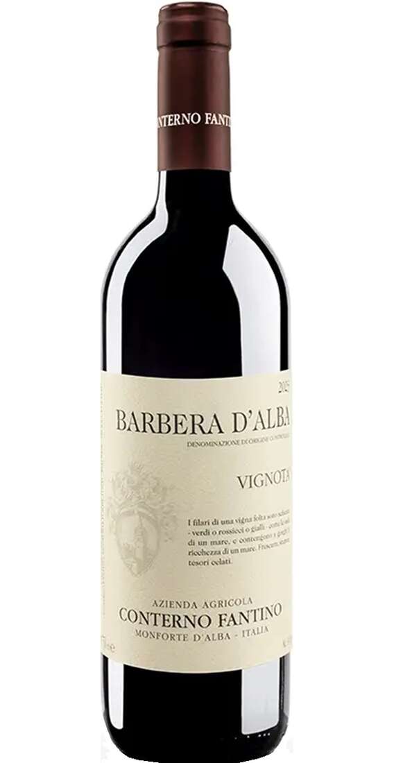 Barbera d'Alba VIGNOTA DOC BIO