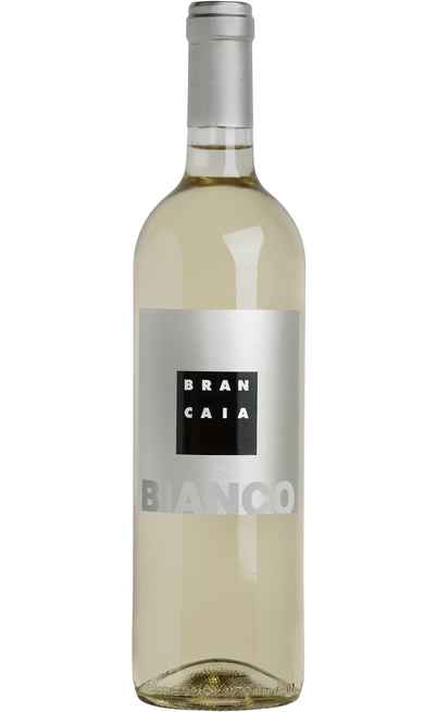 Blanc toscan "LE BLANC" [BRANCAIA]