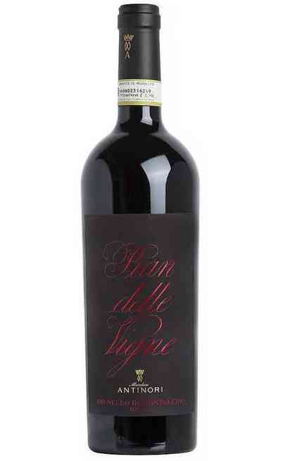 Brunello di Montalcino "Pian delle Vigne" 2021 DOCG
