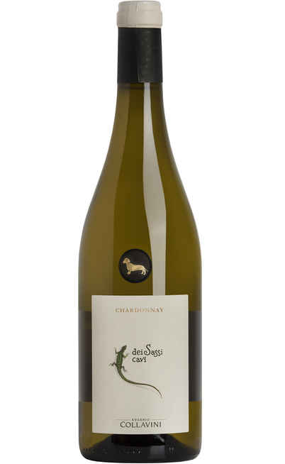 Chardonnay "SASSI CAVI" DOC [COLLAVINI]