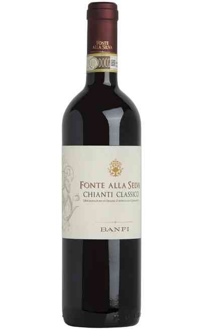 Chianti Classico "Fonte alla Selva" DOCG