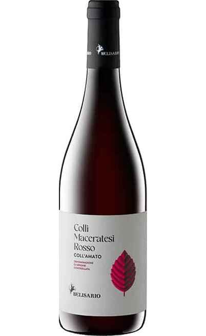 Colli Maceratesi Rosso COLL'AMATO DOC [BELISARIO]