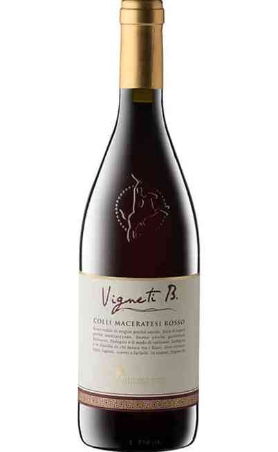 Colli Maceratesi Rosso VIGNETI B. DOC BIO