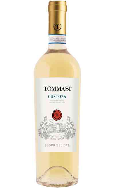 Wines Tommasi : Italian wines online shop 