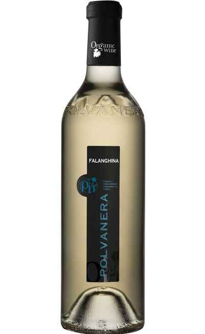 Falanghina BIO [Polvanera]