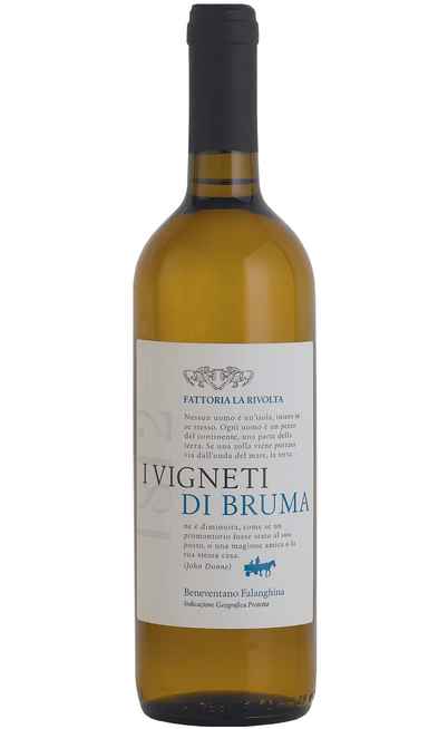 Falanghina "Vignobles de Bruma" BIO [Fattoria La Rivolta]