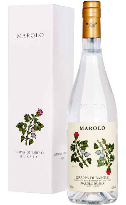 Grappa di Barolo Bussia Astucciata [MAROLO]