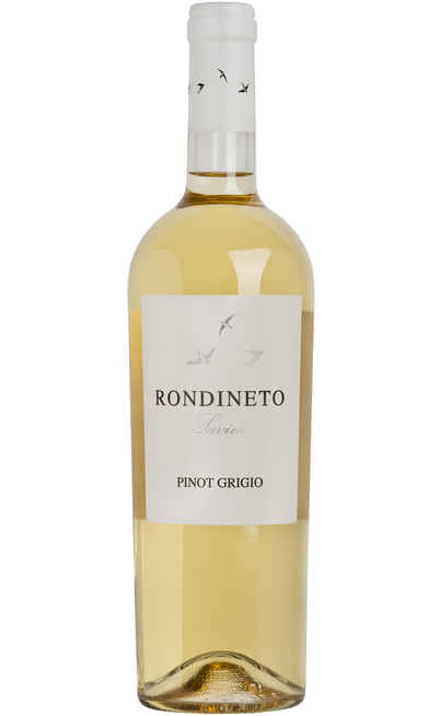 Grauburgunder „Rondineto“ [Fattoria Giuseppe Savini]