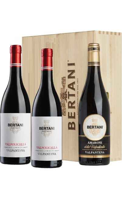 Holzkiste 3 Amarone- und Valpolicella-Weine [Bertani]