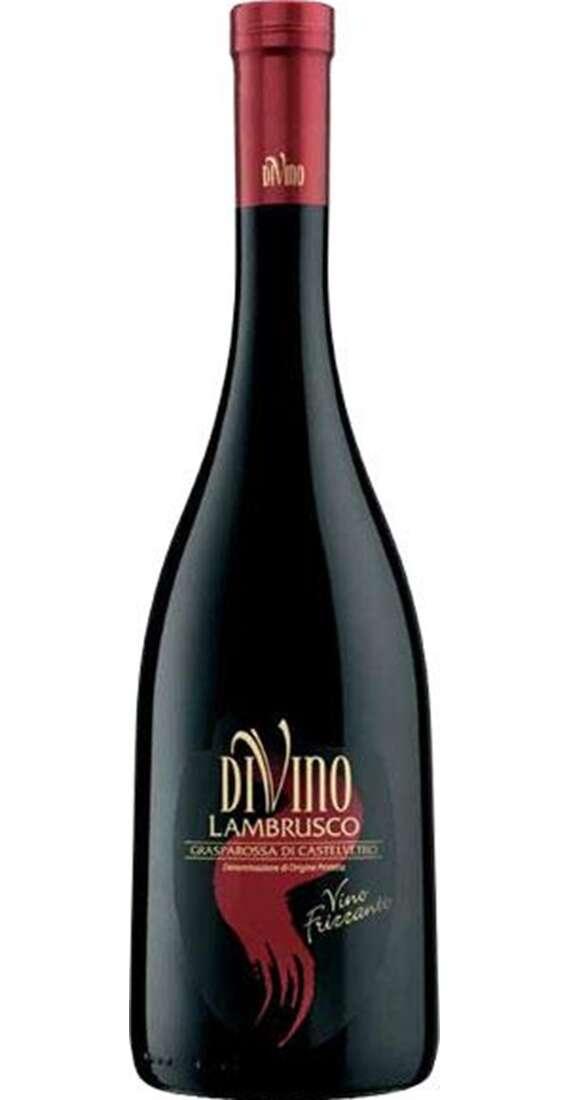 Lambrusco Grasparossa di Castelvetro DIVINO DOP