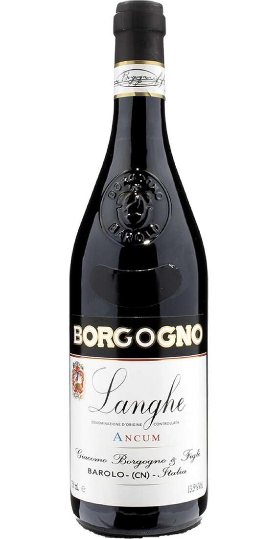 Langhe Dolcetto ANCUM DOC BIO