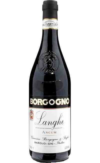 Langhe Dolcetto ANCUM DOC BIO