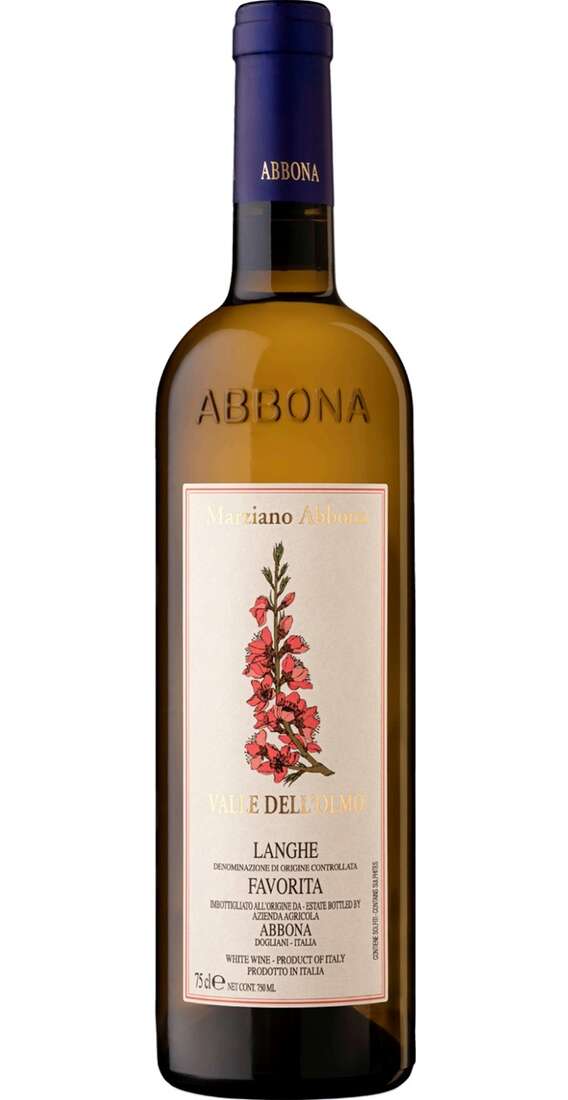 Langhe Favorite Valle dell'Olmo DOC