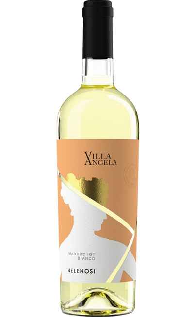 Marche Bianco Garofanata VILLA ANGELA [VELENOSI]