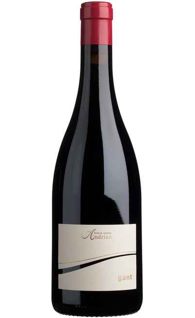 Merlot Riserva "Gant" DOC [Andrian]