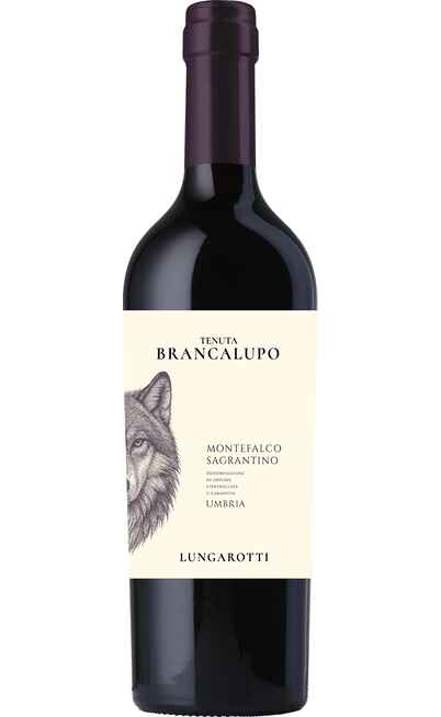 Montefalco Sagrantino DOCG BIO [LUNGAROTTI]