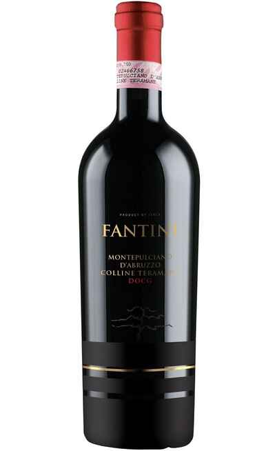 Montepulciano d'Abruzzo Colline Teramane DOCG [FANTINI]
