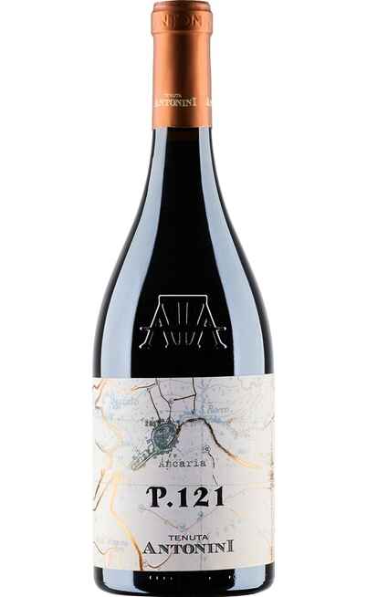Montepulciano d'Abruzzo Colline Teramane P.121 DOCG [TENUTA ANTONINI]