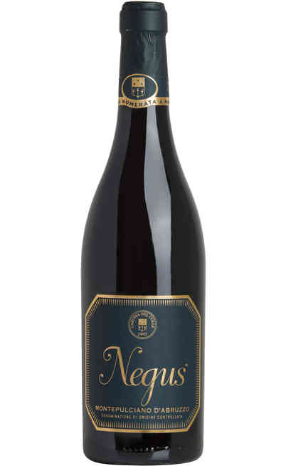 Montepulciano D'Abruzzo DOC "NEGUS"