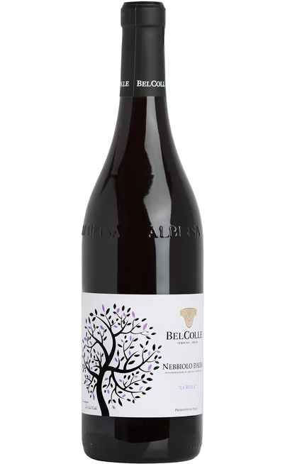 Nebbiolo d'Alba "La Reala" DOC [Bel Colle]