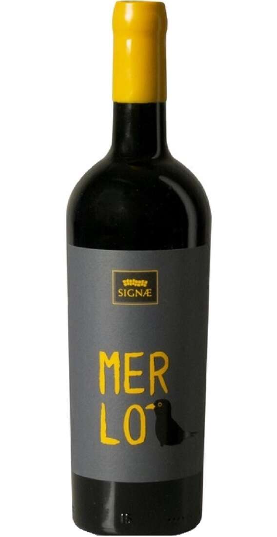 Ombrie Rosso Merlò