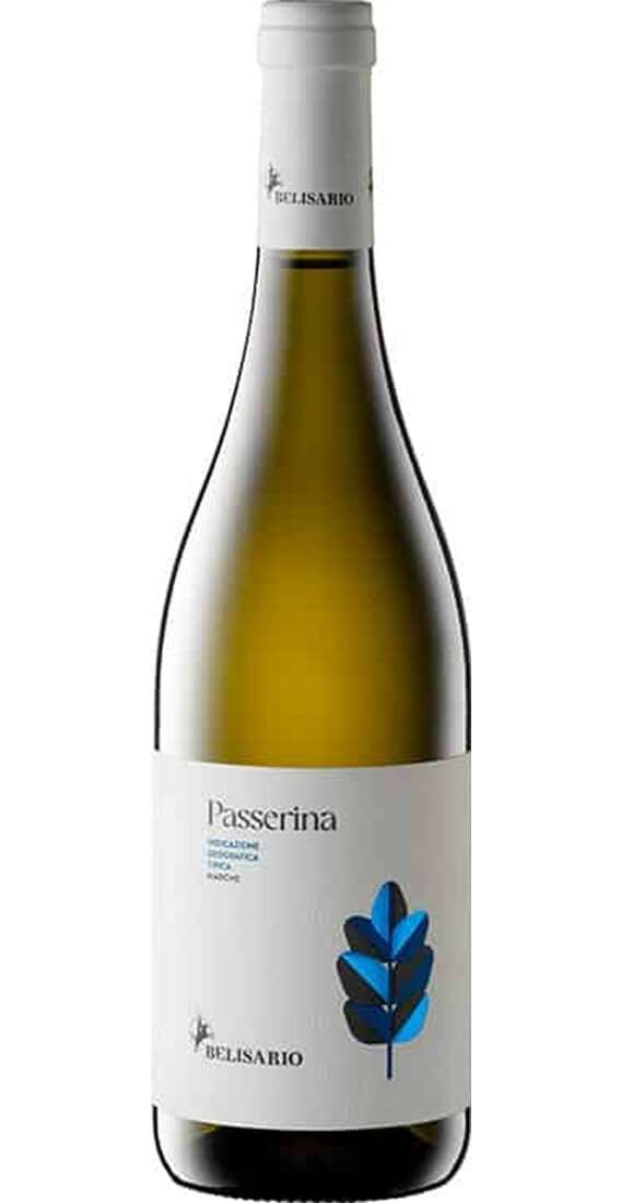 Passerina Marche