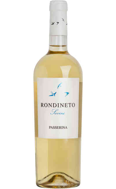 Passerina "Rondineto"