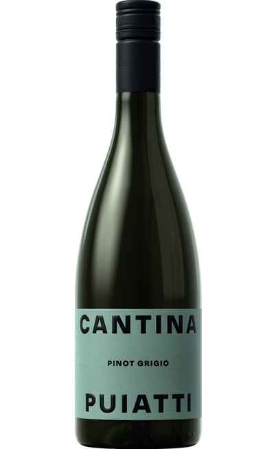 Pinot Grigio DOC [CANTINA PUIATTI]