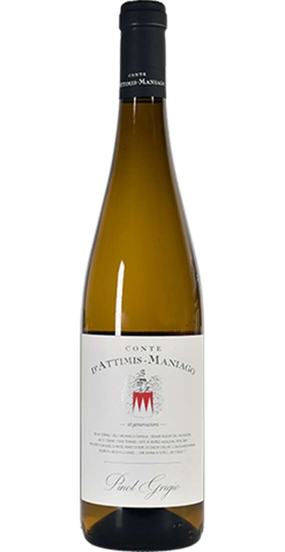 Pinot Grigio DOC