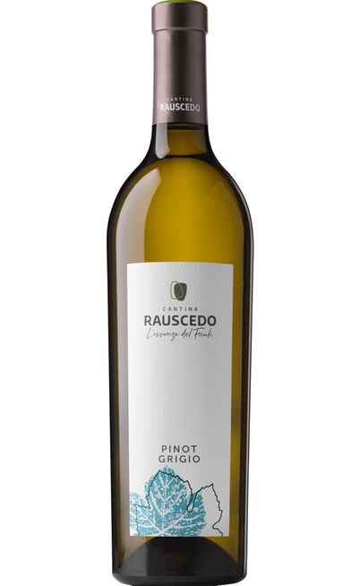Pinot Grigio DOC [CANTINA RAUSCEDO]