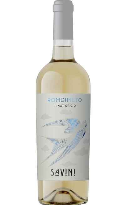 Pinot Grigio Terre d'Abruzzo RONDINETO [Fattoria Giuseppe Savini]