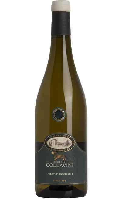 Pinot Grigio "VILLA CANLUNGO" DOC [COLLAVINI]